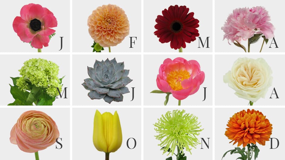 Flowers by Month Flower Availability
